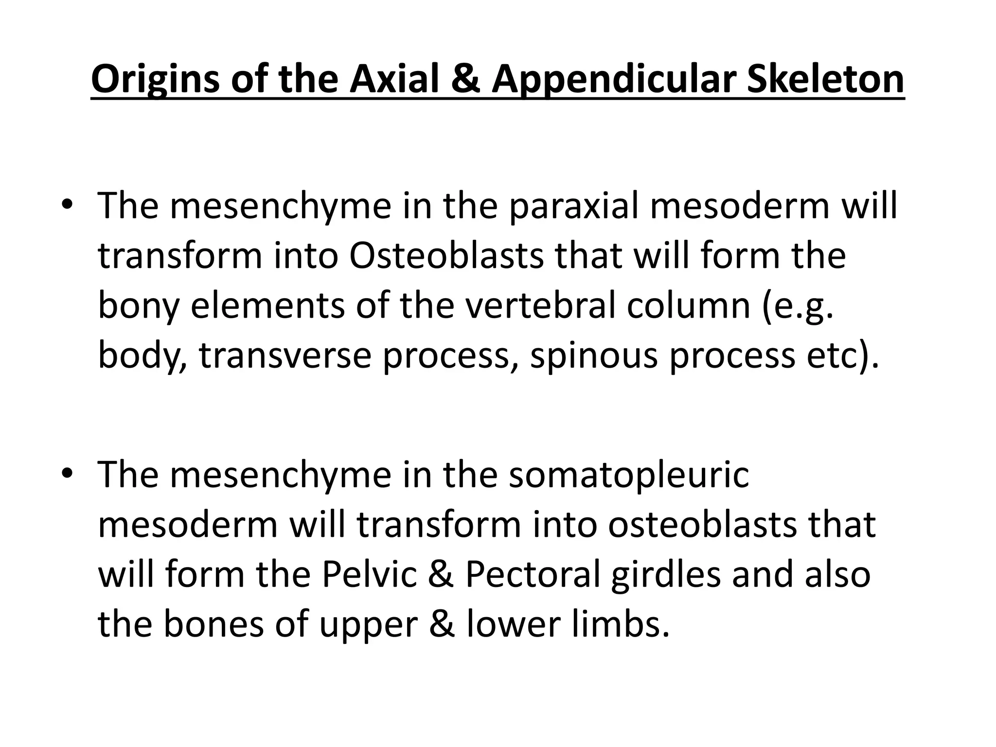 Origins of the Axial & Appendicular Skeleton 
•The mesenchyme in the paraxial mesoderm will transform into Osteoblasts that will form the bony elements of the vertebral column (e.g. body, transverse process, spinous process etc). 
•The mesenchyme in the somatopleuric mesoderm will transform into osteoblasts that will form the Pelvic & Pectoral girdles and also the bones of upper & lower limbs.  