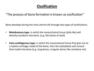 Sification Process Development of the musculoskeletal system | PDF