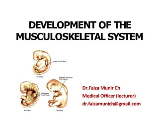 DEVELOPMENT OF THE
MUSCULOSKELETAL SYSTEM
Dr.Faiza Munir Ch
Medical Officer (lecturer)
dr.faizamunich@gmail.com
 