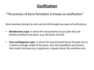 development of the musculoskeletal system.pdf