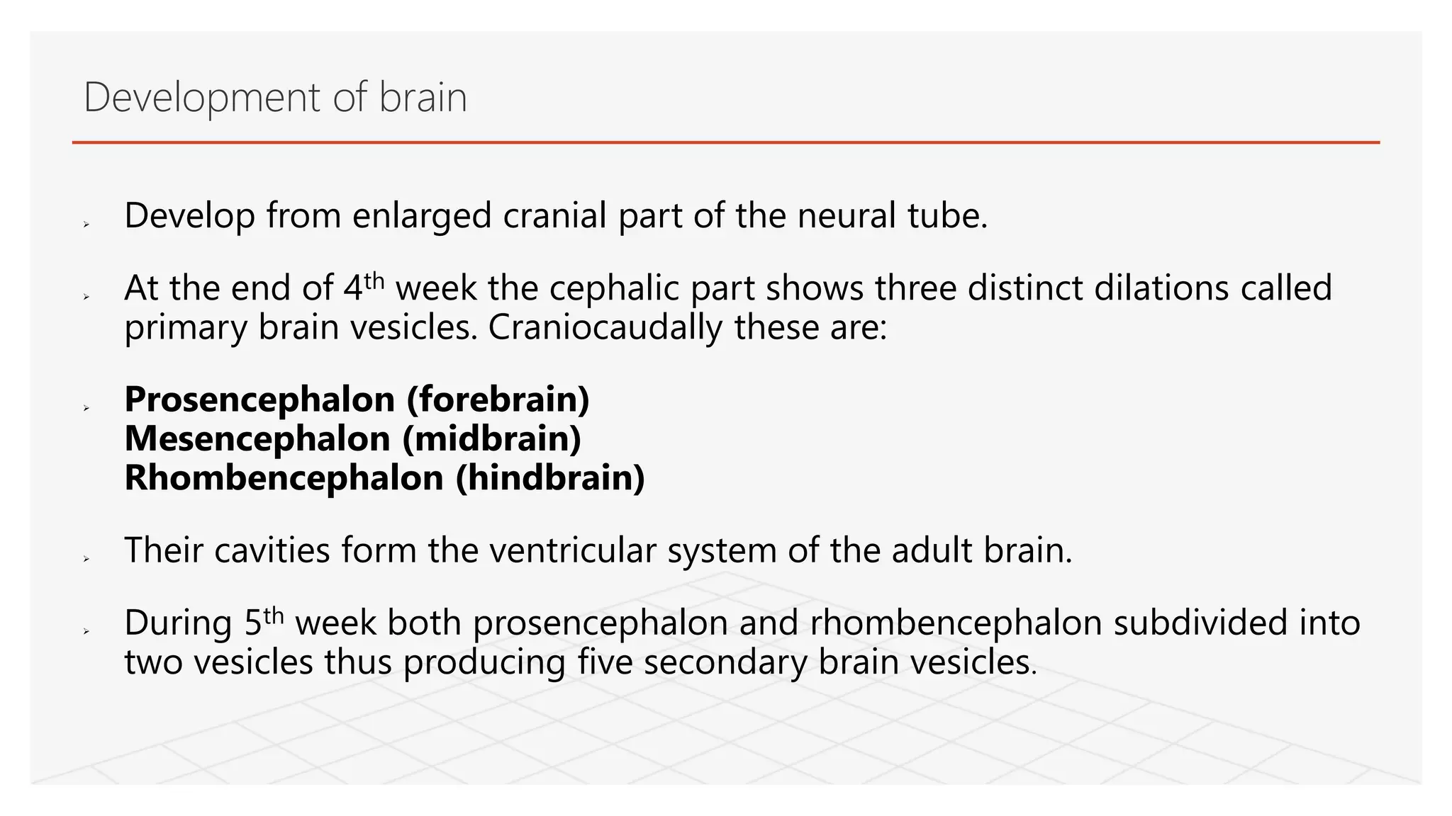  Develop from enlarged cranial part of the neural tube.
 At the end of 4th week the cephalic part shows three distinct dilations called
primary brain vesicles. Craniocaudally these are:
 Prosencephalon (forebrain)
Mesencephalon (midbrain)
Rhombencephalon (hindbrain)
 Their cavities form the ventricular system of the adult brain.
 During 5th week both prosencephalon and rhombencephalon subdivided into
two vesicles thus producing five secondary brain vesicles.
Development of brain
 