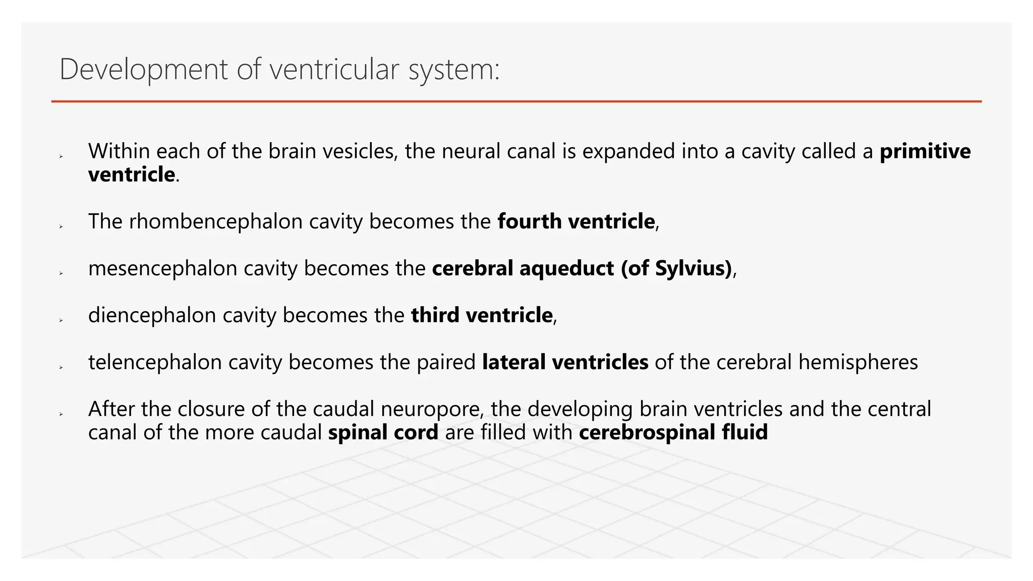 Within each of the brain vesicles, the neural canal is expanded into a cavity called a primitive
ventricle.
 The rhombencephalon cavity becomes the fourth ventricle,
 mesencephalon cavity becomes the cerebral aqueduct (of Sylvius),
 diencephalon cavity becomes the third ventricle,
 telencephalon cavity becomes the paired lateral ventricles of the cerebral hemispheres
 After the closure of the caudal neuropore, the developing brain ventricles and the central
canal of the more caudal spinal cord are filled with cerebrospinal fluid
Development of ventricular system:
 