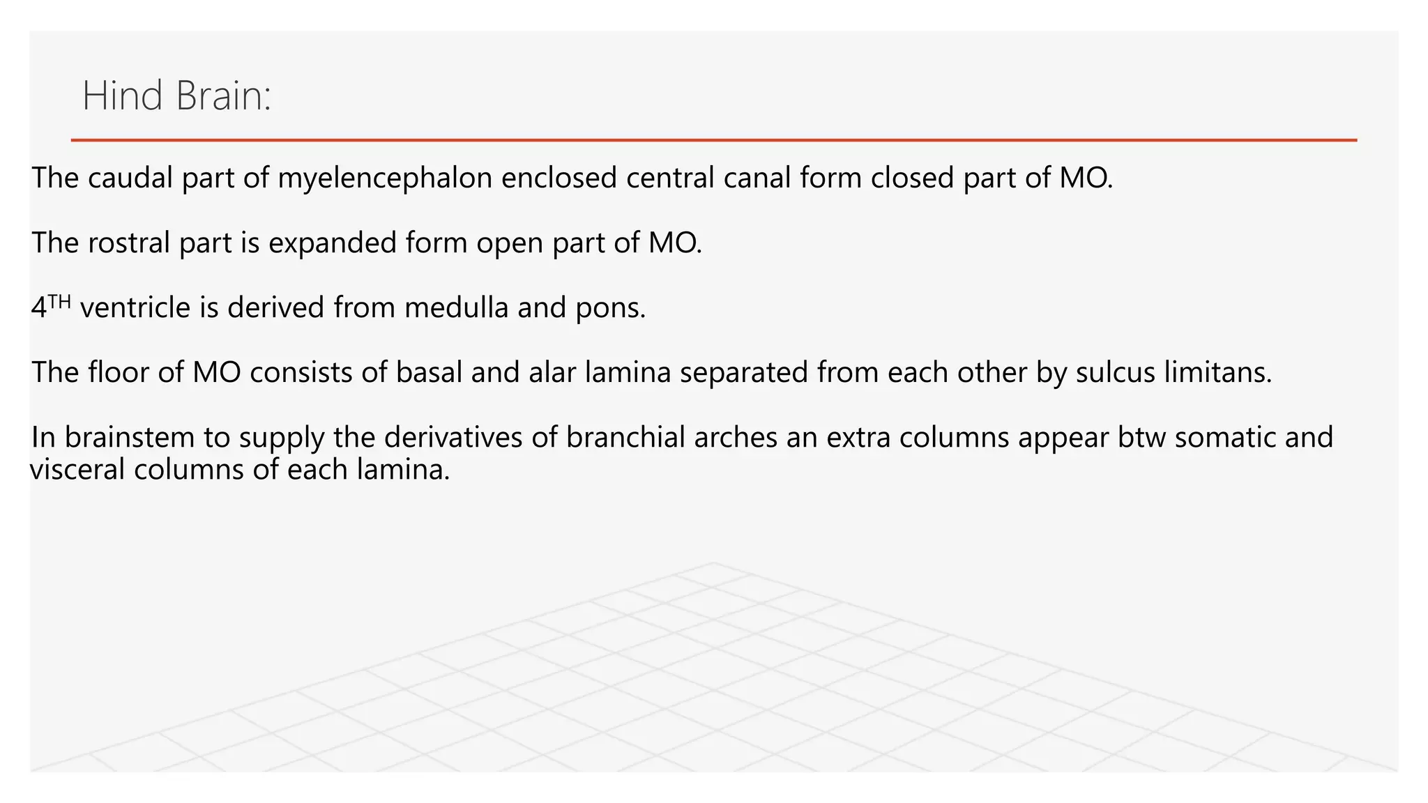 The caudal part of myelencephalon enclosed central canal form closed part of MO.
The rostral part is expanded form open part of MO.
4TH ventricle is derived from medulla and pons.
The floor of MO consists of basal and alar lamina separated from each other by sulcus limitans.
In brainstem to supply the derivatives of branchial arches an extra columns appear btw somatic and
visceral columns of each lamina.
Hind Brain:
 