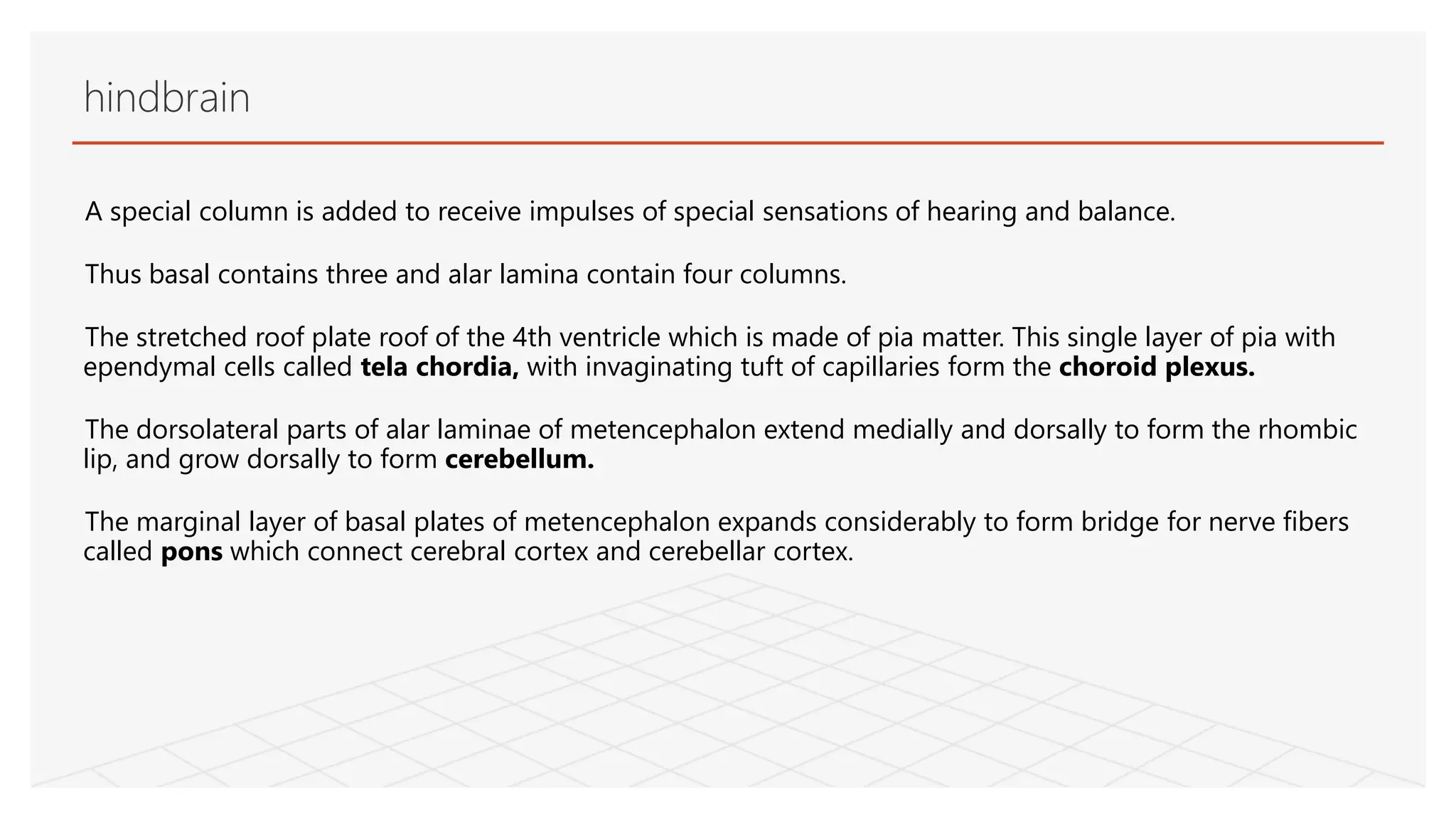 A special column is added to receive impulses of special sensations of hearing and balance.
Thus basal contains three and alar lamina contain four columns.
The stretched roof plate roof of the 4th ventricle which is made of pia matter. This single layer of pia with
ependymal cells called tela chordia, with invaginating tuft of capillaries form the choroid plexus.
The dorsolateral parts of alar laminae of metencephalon extend medially and dorsally to form the rhombic
lip, and grow dorsally to form cerebellum.
The marginal layer of basal plates of metencephalon expands considerably to form bridge for nerve fibers
called pons which connect cerebral cortex and cerebellar cortex.
hindbrain
 