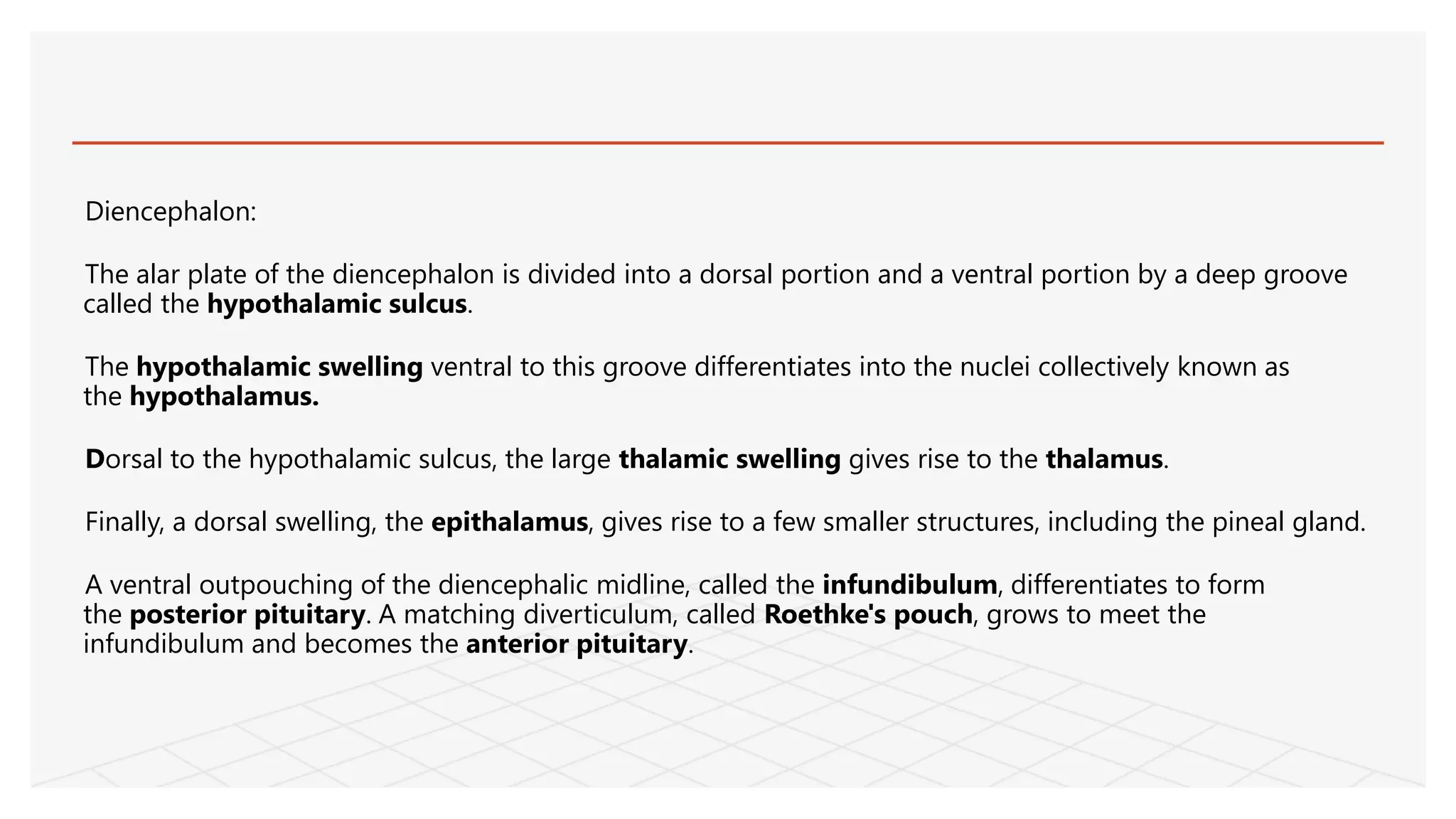 Diencephalon:
The alar plate of the diencephalon is divided into a dorsal portion and a ventral portion by a deep groove
called the hypothalamic sulcus.
The hypothalamic swelling ventral to this groove differentiates into the nuclei collectively known as
the hypothalamus.
Dorsal to the hypothalamic sulcus, the large thalamic swelling gives rise to the thalamus.
Finally, a dorsal swelling, the epithalamus, gives rise to a few smaller structures, including the pineal gland.
A ventral outpouching of the diencephalic midline, called the infundibulum, differentiates to form
the posterior pituitary. A matching diverticulum, called Roethke's pouch, grows to meet the
infundibulum and becomes the anterior pituitary.
 