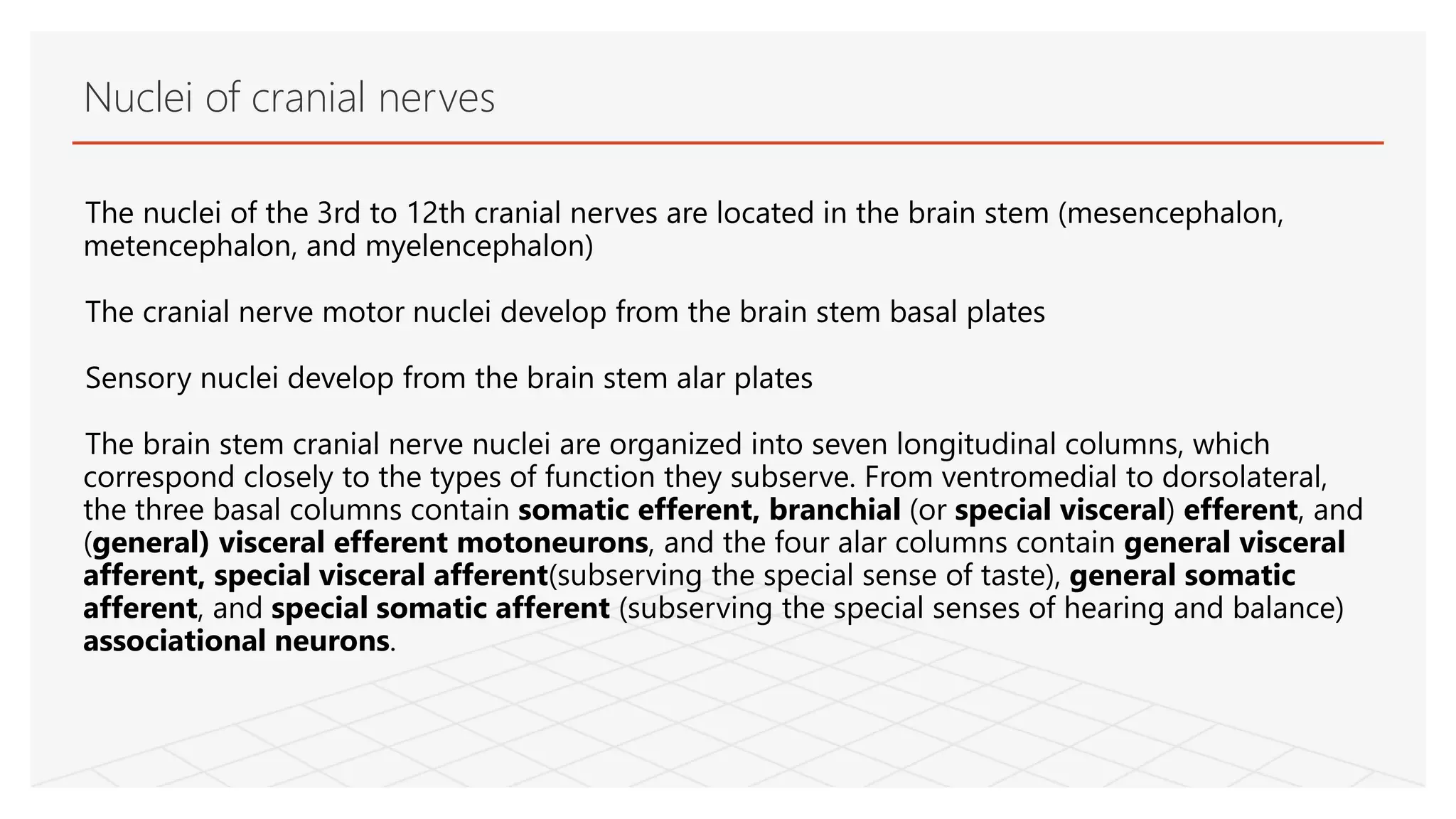 The nuclei of the 3rd to 12th cranial nerves are located in the brain stem (mesencephalon,
metencephalon, and myelencephalon)
The cranial nerve motor nuclei develop from the brain stem basal plates
Sensory nuclei develop from the brain stem alar plates
The brain stem cranial nerve nuclei are organized into seven longitudinal columns, which
correspond closely to the types of function they subserve. From ventromedial to dorsolateral,
the three basal columns contain somatic efferent, branchial (or special visceral) efferent, and
(general) visceral efferent motoneurons, and the four alar columns contain general visceral
afferent, special visceral afferent(subserving the special sense of taste), general somatic
afferent, and special somatic afferent (subserving the special senses of hearing and balance)
associational neurons.
Nuclei of cranial nerves
 