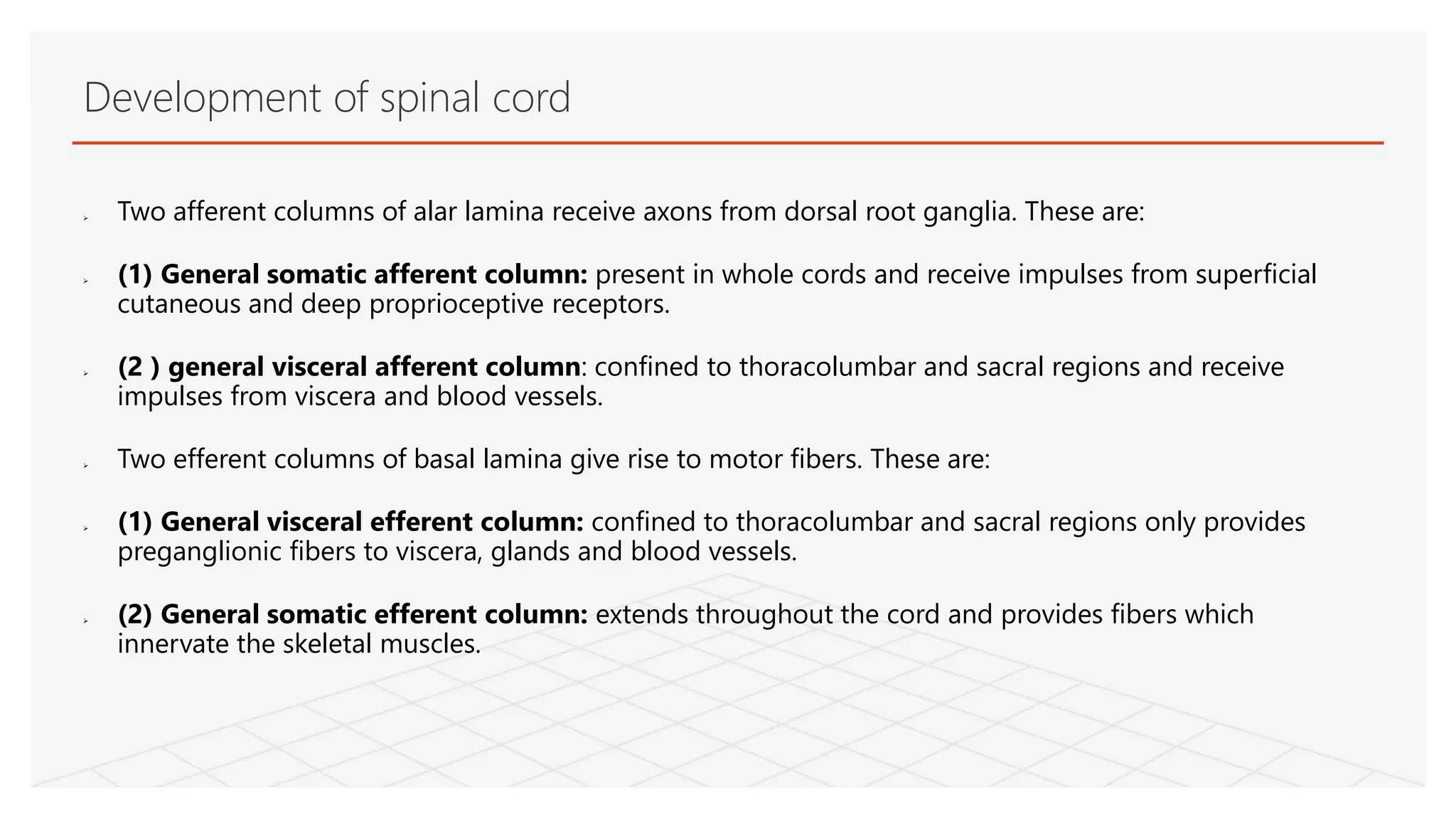  Two afferent columns of alar lamina receive axons from dorsal root ganglia. These are:
 (1) General somatic afferent column: present in whole cords and receive impulses from superficial
cutaneous and deep proprioceptive receptors.
 (2 ) general visceral afferent column: confined to thoracolumbar and sacral regions and receive
impulses from viscera and blood vessels.
 Two efferent columns of basal lamina give rise to motor fibers. These are:
 (1) General visceral efferent column: confined to thoracolumbar and sacral regions only provides
preganglionic fibers to viscera, glands and blood vessels.
 (2) General somatic efferent column: extends throughout the cord and provides fibers which
innervate the skeletal muscles.
Development of spinal cord
 
