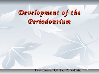 Development of the
  Periodontium




    Development Of The Periodontium
 
