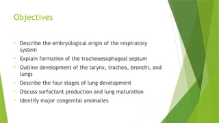 Comprehensive Overview of Respiratory System Development and Related ...