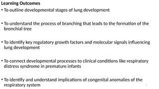 Development of the Respiratory System 2_124558.pptx