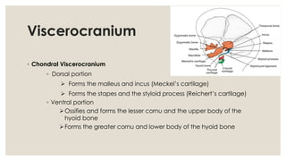 Development of the skeletal system by fathima trunkwala | PPTX | Death ...