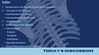 Skeletal Development Abstract Development of the Skeletal System in Embryology | PDF