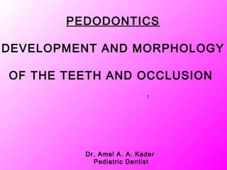 PEDODONTICS

DEVELOPMENT AND MORPHOLOGY

OF THE TEETH AND OCCLUSION
                          1




         Dr. Amal A. A. Kader
           Pediatric Dentist
 