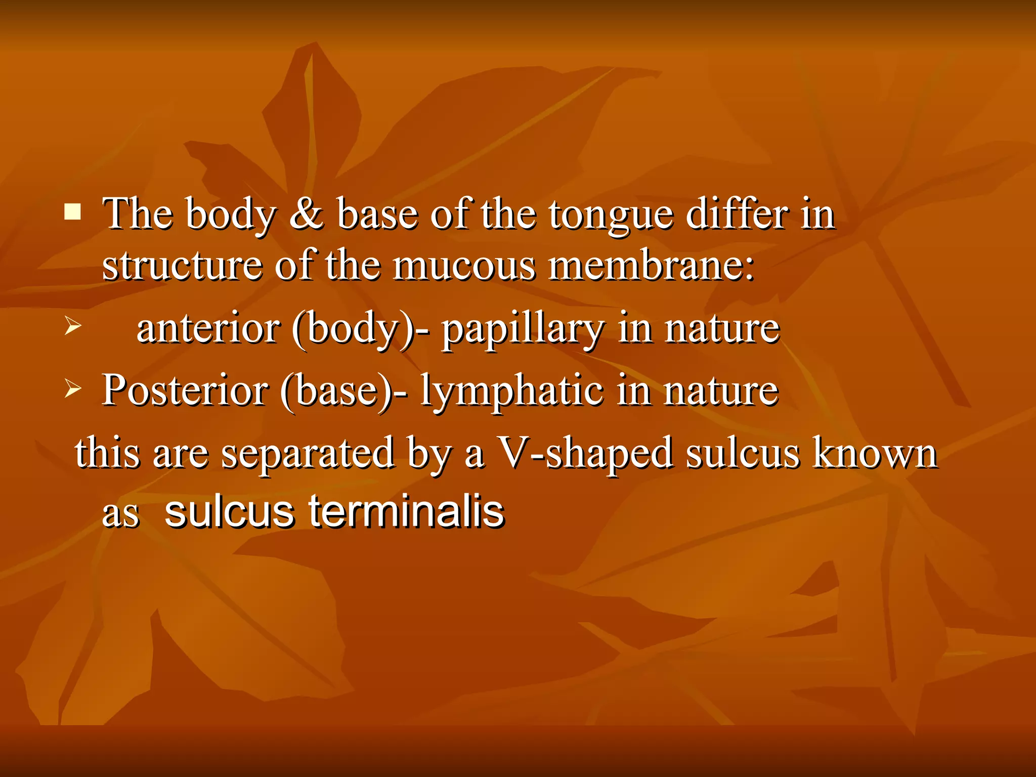 The body & base of the tongue differ in structure of the mucous membrane: anterior (body)- papillary in nature Posterior (base)- lymphatic in nature this are separated by a V-shaped sulcus known as  sulcus terminalis 
