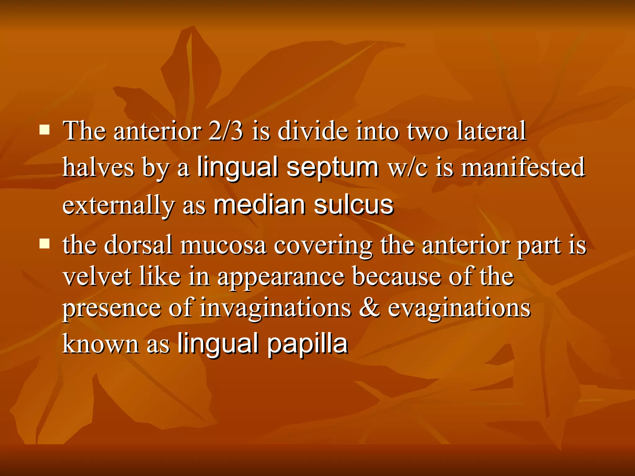 The anterior 2/3 is divide into two lateral halves by a  lingual septum  w/c is manifested externally as  median sulcus the dorsal mucosa covering the anterior part is velvet like in appearance because of the presence of invaginations & evaginations known as  lingual papilla 