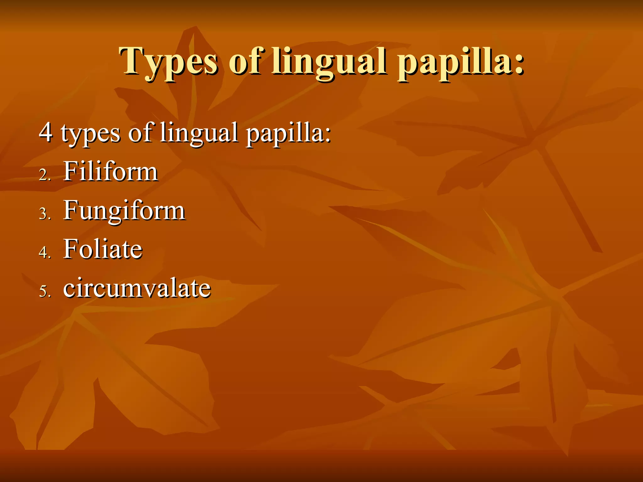 Types of lingual papilla: 4 types of lingual papilla: Filiform Fungiform Foliate circumvalate 