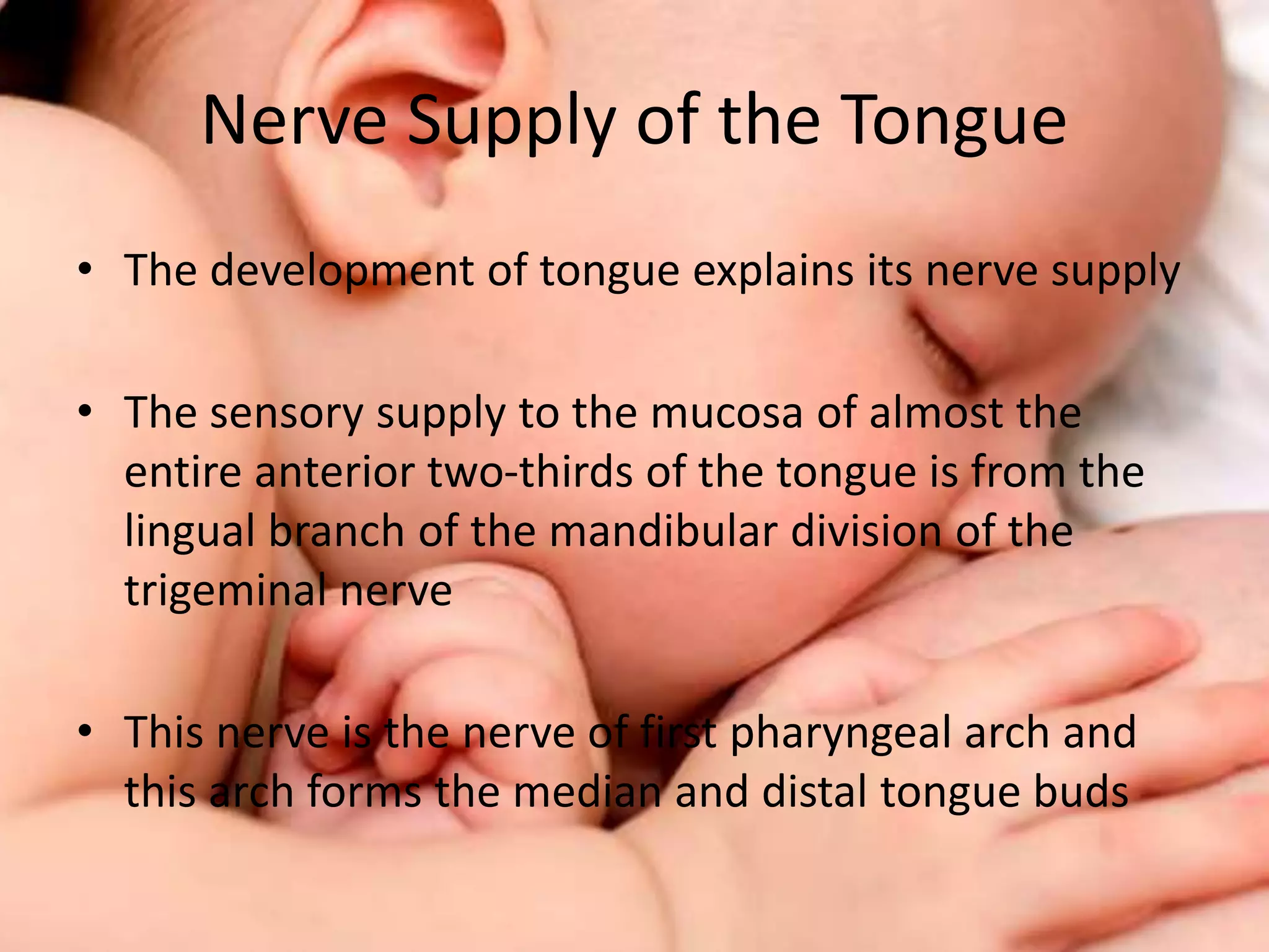 Nerve Supply of the Tongue
• The development of tongue explains its nerve supply
• The sensory supply to the mucosa of almost the
entire anterior two-thirds of the tongue is from the
lingual branch of the mandibular division of the
trigeminal nerve
• This nerve is the nerve of first pharyngeal arch and
this arch forms the median and distal tongue buds
 