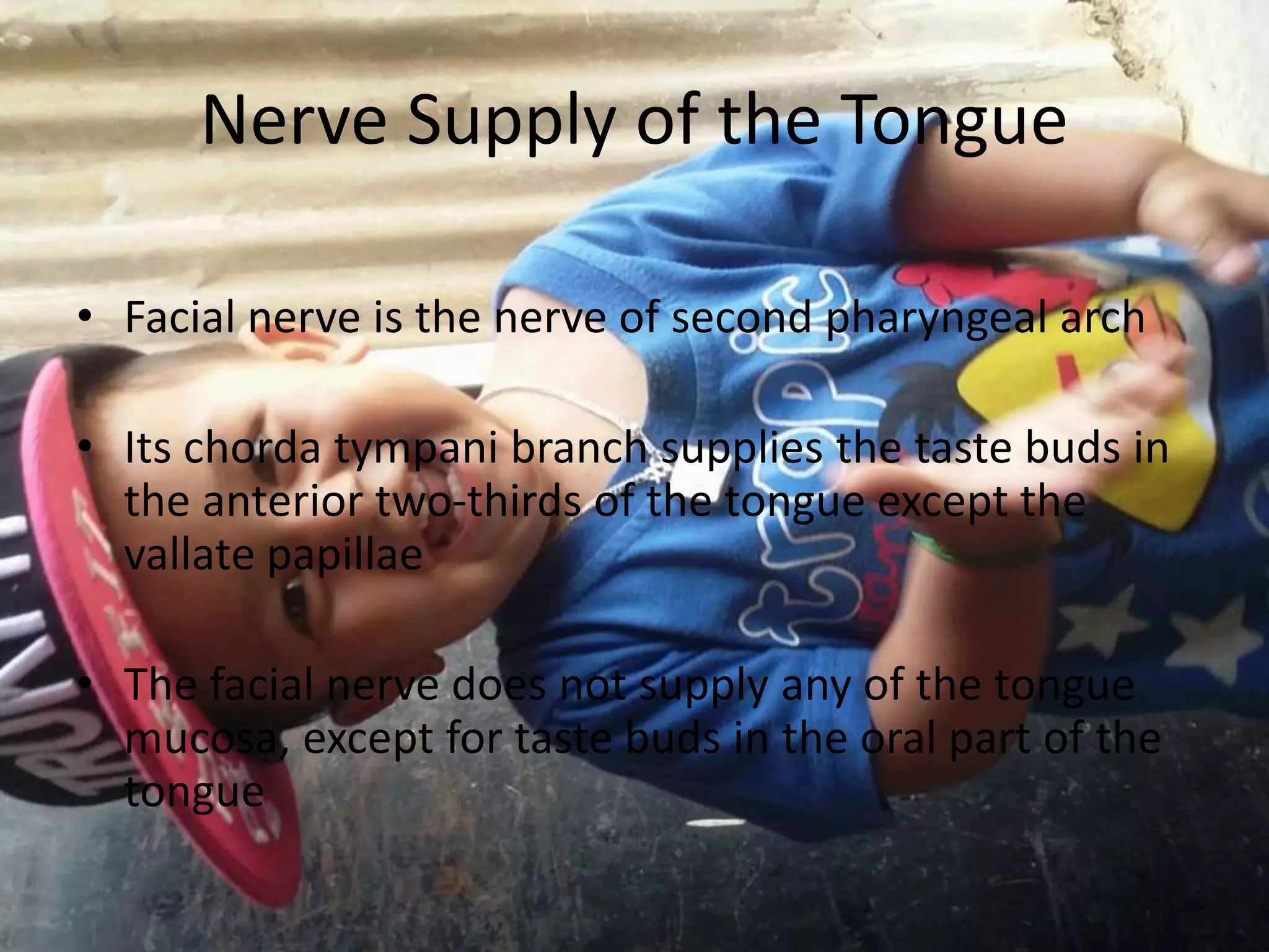 Nerve Supply of the Tongue
• Facial nerve is the nerve of second pharyngeal arch
• Its chorda tympani branch supplies the taste buds in
the anterior two-thirds of the tongue except the
vallate papillae
• The facial nerve does not supply any of the tongue
mucosa, except for taste buds in the oral part of the
tongue
 