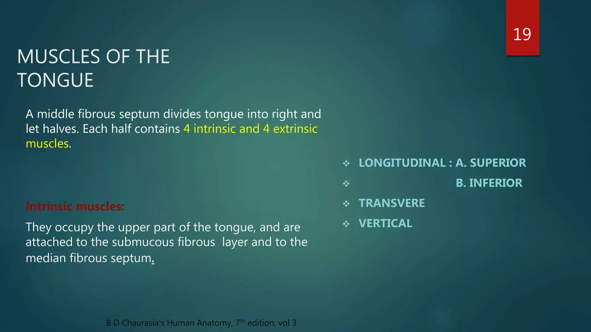 MUSCLES OF THE
TONGUE
 LONGITUDINAL : A. SUPERIOR
 B. INFERIOR
 TRANSVERE
 VERTICAL
A middle fibrous septum divides tongue into right and
let halves. Each half contains 4 intrinsic and 4 extrinsic
muscles.
Intrinsic muscles:
They occupy the upper part of the tongue, and are
attached to the submucous fibrous layer and to the
median fibrous septum.
19
B D Chaurasia’s Human Anatomy, 7th edition, vol 3
 
