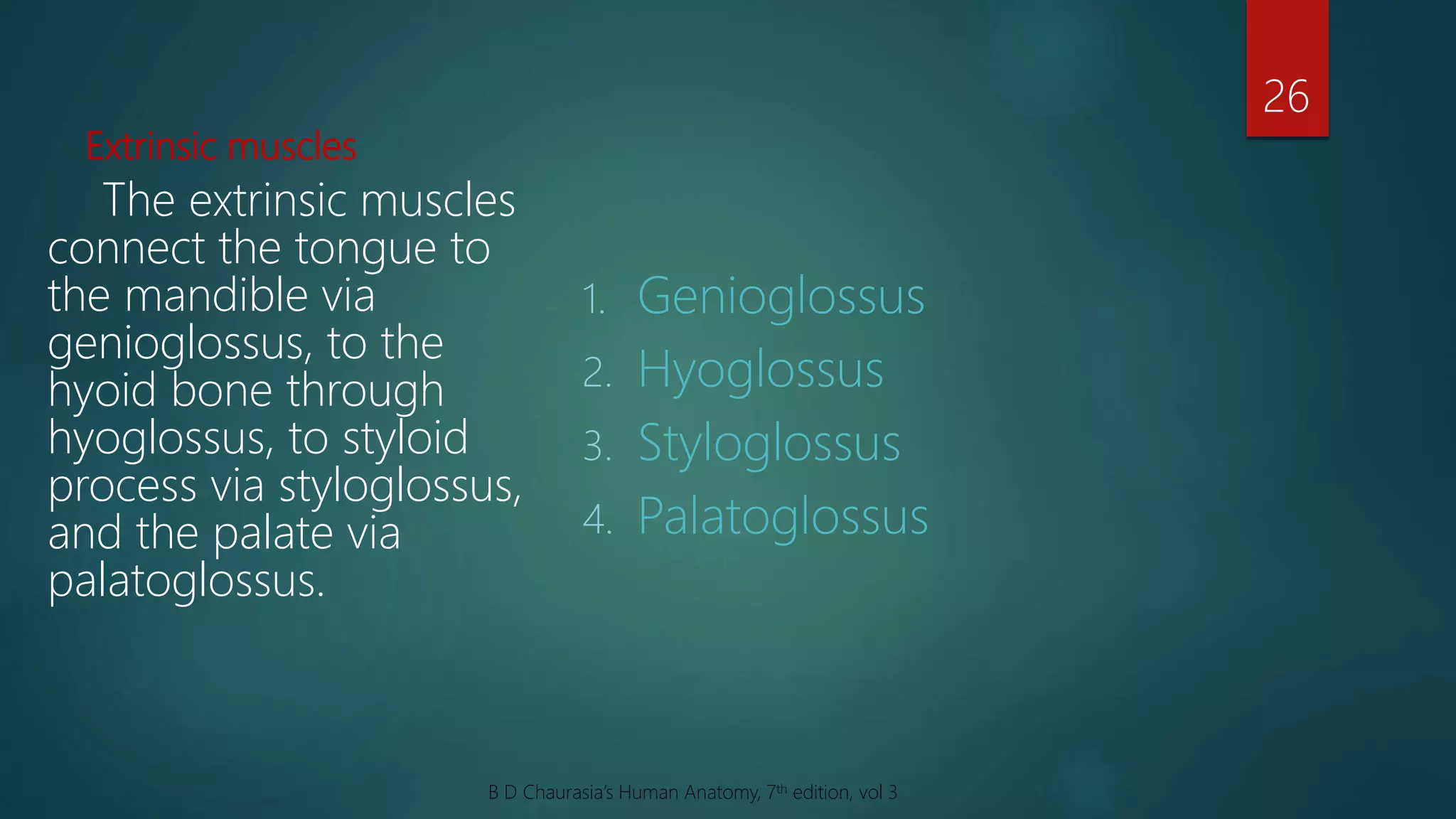 Extrinsic muscles
1. Genioglossus
2. Hyoglossus
3. Styloglossus
4. Palatoglossus
The extrinsic muscles
connect the tongue to
the mandible via
genioglossus, to the
hyoid bone through
hyoglossus, to styloid
process via styloglossus,
and the palate via
palatoglossus.
26
B D Chaurasia’s Human Anatomy, 7th edition, vol 3
 