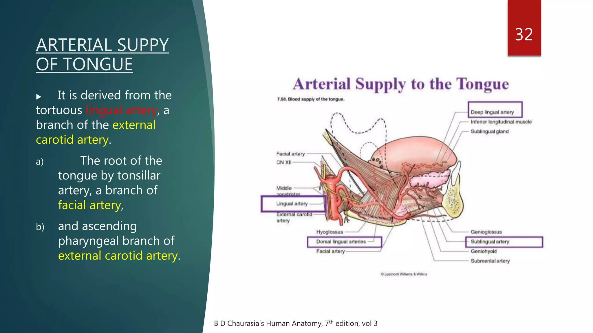 ARTERIAL SUPPY
OF TONGUE
32
 It is derived from the
tortuous lingual artery, a
branch of the external
carotid artery.
a) The root of the
tongue by tonsillar
artery, a branch of
facial artery,
b) and ascending
pharyngeal branch of
external carotid artery.
B D Chaurasia’s Human Anatomy, 7th edition, vol 3
 
