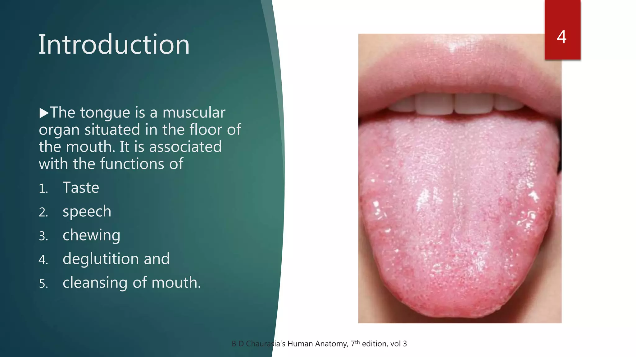 Introduction 4
The tongue is a muscular
organ situated in the floor of
the mouth. It is associated
with the functions of
1. Taste
2. speech
3. chewing
4. deglutition and
5. cleansing of mouth.
B D Chaurasia’s Human Anatomy, 7th edition, vol 3
 