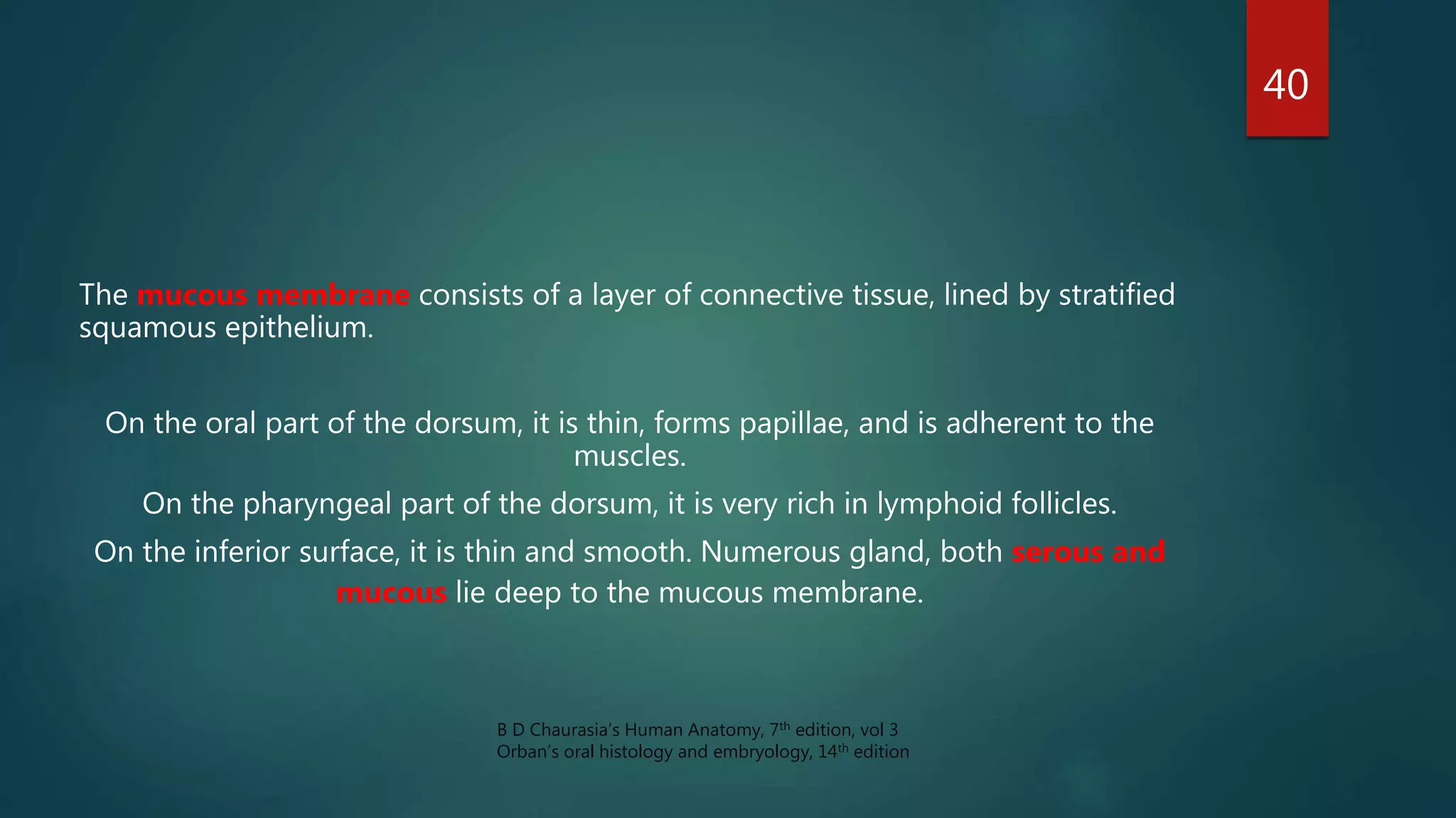The mucous membrane consists of a layer of connective tissue, lined by stratified
squamous epithelium.
On the oral part of the dorsum, it is thin, forms papillae, and is adherent to the
muscles.
On the pharyngeal part of the dorsum, it is very rich in lymphoid follicles.
On the inferior surface, it is thin and smooth. Numerous gland, both serous and
mucous lie deep to the mucous membrane.
40
B D Chaurasia’s Human Anatomy, 7th edition, vol 3
Orban’s oral histology and embryology, 14th edition
 