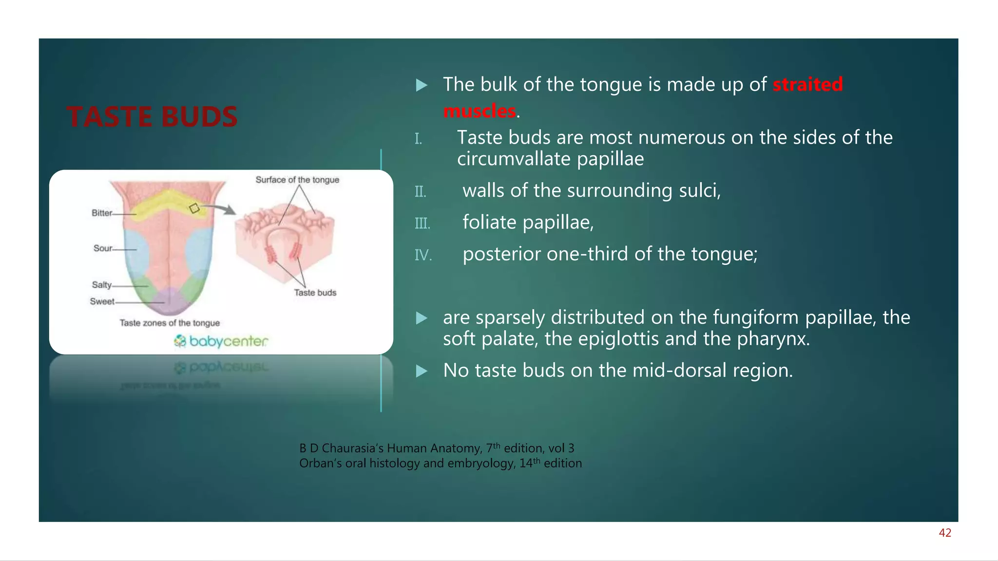  The bulk of the tongue is made up of straited
muscles.
I. Taste buds are most numerous on the sides of the
circumvallate papillae
II. walls of the surrounding sulci,
III. foliate papillae,
IV. posterior one-third of the tongue;
 are sparsely distributed on the fungiform papillae, the
soft palate, the epiglottis and the pharynx.
 No taste buds on the mid-dorsal region.
42
B D Chaurasia’s Human Anatomy, 7th edition, vol 3
Orban’s oral histology and embryology, 14th edition
TASTE BUDS
 