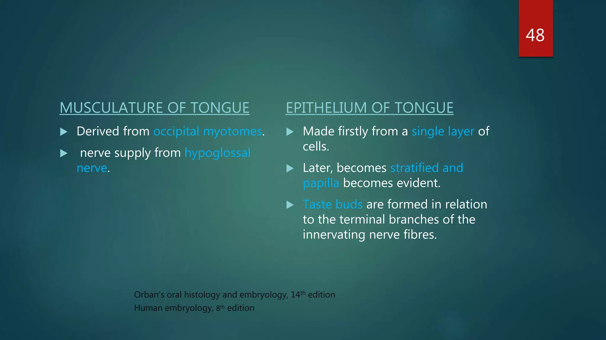 MUSCULATURE OF TONGUE
 Derived from occipital myotomes.
 nerve supply from hypoglossal
nerve.
EPITHELIUM OF TONGUE
 Made firstly from a single layer of
cells.
 Later, becomes stratified and
papilla becomes evident.
 Taste buds are formed in relation
to the terminal branches of the
innervating nerve fibres.
48
Orban’s oral histology and embryology, 14th edition
Human embryology, 8th edition
 