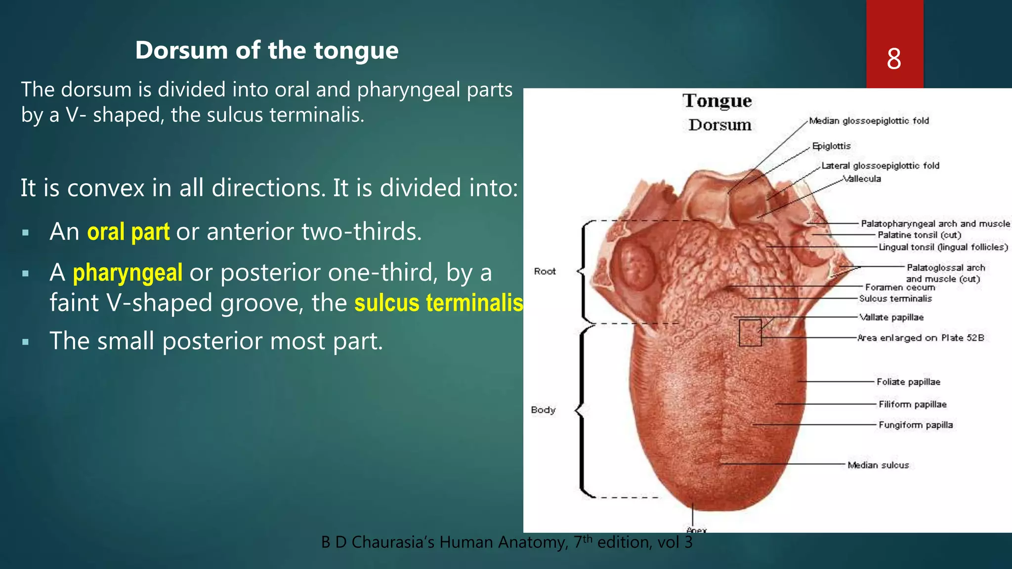 Dorsum of the tongue
The dorsum is divided into oral and pharyngeal parts
by a V- shaped, the sulcus terminalis.
It is convex in all directions. It is divided into:
 An oral part or anterior two-thirds.
 A pharyngeal or posterior one-third, by a
faint V-shaped groove, the sulcus terminalis.
 The small posterior most part.
8
B D Chaurasia’s Human Anatomy, 7th edition, vol 3
 