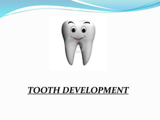 TOOTH DEVELOPMENT 
 