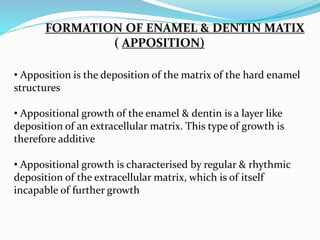 FORMATION OF ENAMEL & DENTIN MATIX 
( APPOSITION) 
• Apposition is the deposition of the matrix of the hard enamel 
structures 
• Appositional growth of the enamel & dentin is a layer like 
deposition of an extracellular matrix. This type of growth is 
therefore additive 
• Appositional growth is characterised by regular & rhythmic 
deposition of the extracellular matrix, which is of itself 
incapable of further growth 
 