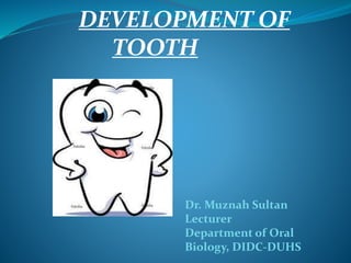 DEVELOPMENT OF
TOOTH
Dr. Muznah Sultan
Lecturer
Department of Oral
Biology, DIDC-DUHS
 