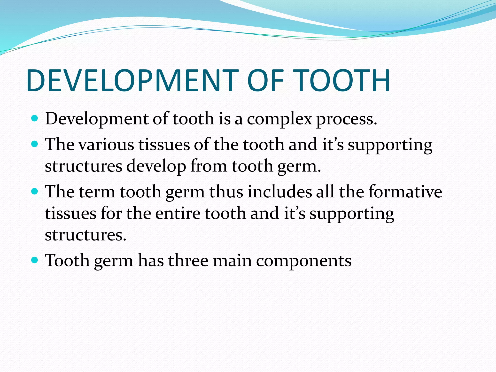 DEVELOPMENT OF TOOTH
 Development of tooth is a complex process.
 The various tissues of the tooth and it’s supporting
structures develop from tooth germ.
 The term tooth germ thus includes all the formative
tissues for the entire tooth and it’s supporting
structures.
 Tooth germ has three main components
 