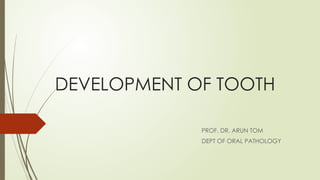 Development of tooth- Introduction and Histology | PPTX