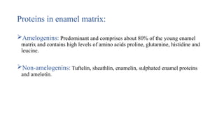 Proteins in enamel matrix:
Amelogenins: Predominant and comprises about 80% of the young enamel
matrix and contains high levels of amino acids proline, glutamine, histidine and
leucine.
Non-amelogenins: Tuftelin, sheathlin, enamelin, sulphated enamel proteins
and amelotin.
 