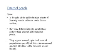 Enamel pearls
Cause:
• If the cells of the epithelial root sheath of
Hertwig remain adherent to the dentin
surface,
• they may differentiate into ameloblasts
and produce enamel, called enamel
pearls.
• They appear as small, spherical enamel
projections especially at the cemento-enamel
junction (CEJ) or in the furcation area in
molars.
 