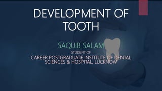 DEVELOPMENT OF
TOOTH
SAQUIB SALAM
STUDENT OF
CAREER POSTGRADUATE INSTITUTE OF DENTAL
SCIENCES & HOSPITAL, LUCKNOW
 