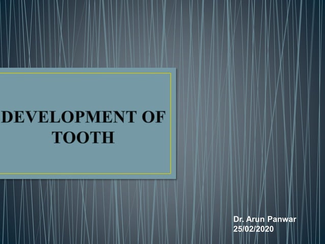 Development of tooth Part 2 | PPT