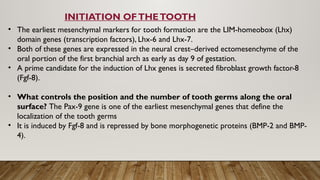 Defleone Tooth development of tooth new Tooth development is a complex process .pptx