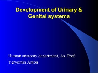 Development of Urinary &
Genital systems
Human anatomy department, As. Prof.
Yeryomin Anton
 