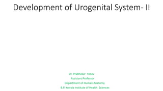 Development of Urogenital System- II
Dr. Prabhakar Yadav
Assistant Professor
Department of Human Anatomy
B.P. Koirala Institute of Health Sciences
 
