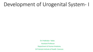 Development of Urogenital System- I
Dr. Prabhakar Yadav
Assistant Professor
Department of Human Anatomy
B.P. Koirala Institute of Health Sciences
 