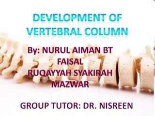 Development of  vertebral column By: NURUL AIMAN BT FAISAL RUQAYYAH SYAKIRAH MAZWAR GROUP TUTOR: DR. NISREEN 