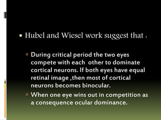 Development Of Vision | PPTX