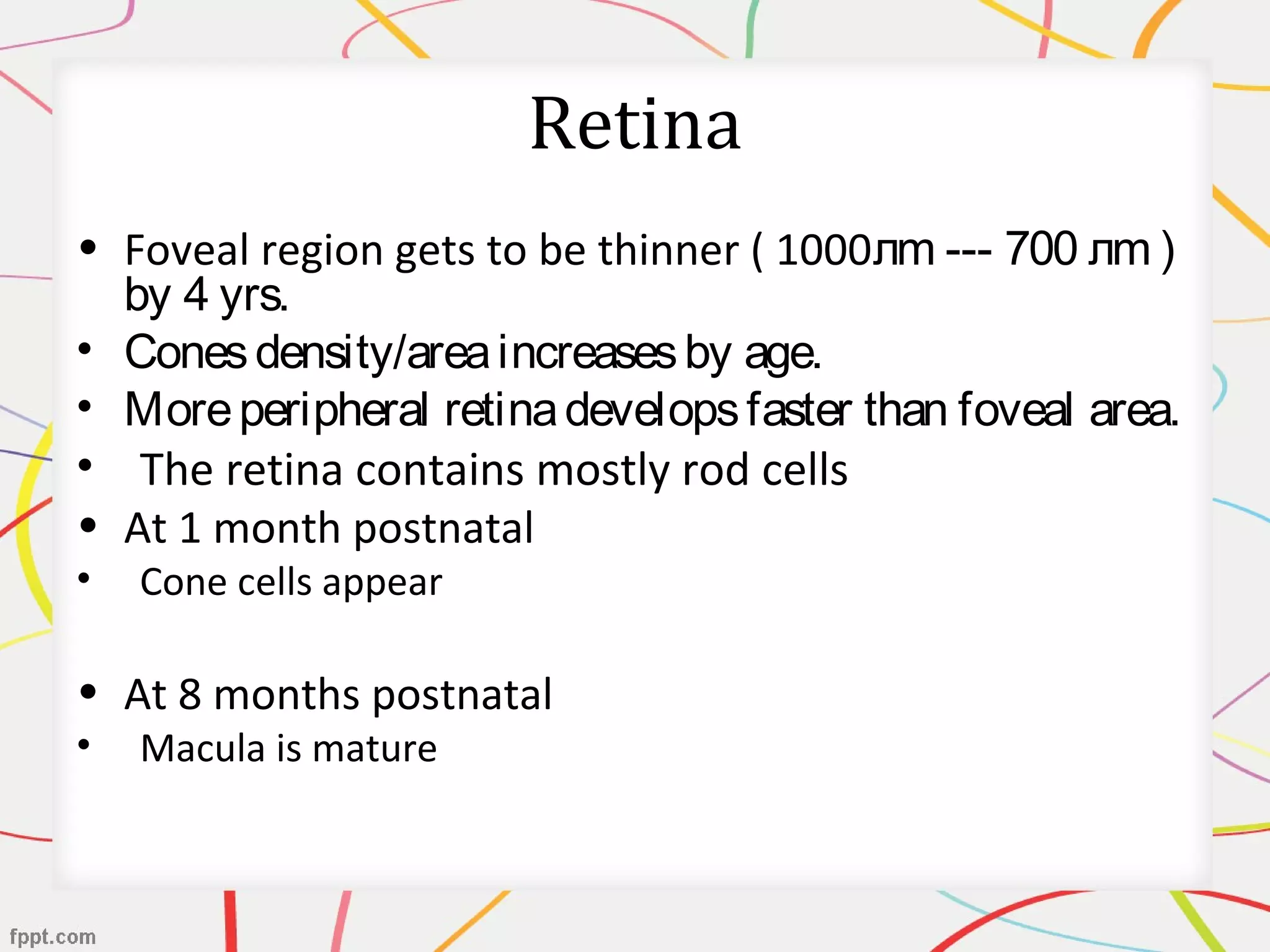 Retina
• Foveal region gets to be thinner ( 1000лm --- 700 лm )
by 4 yrs.
• Conesdensity/areaincreasesby age.
• Moreperipheral retinadevelopsfaster than foveal area.
• The retina contains mostly rod cells
• At 1 month postnatal
• Cone cells appear
• At 8 months postnatal
• Macula is mature
 