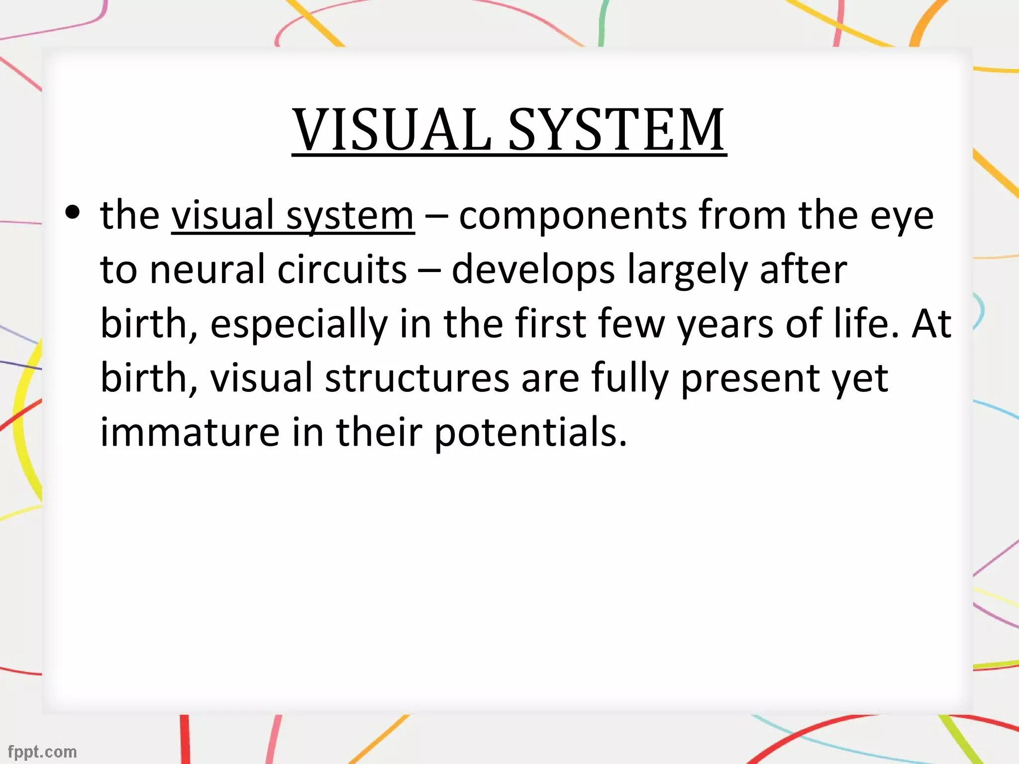 VISUAL SYSTEM
• the visual system – components from the eye
to neural circuits – develops largely after
birth, especially in the first few years of life. At
birth, visual structures are fully present yet
immature in their potentials.
 