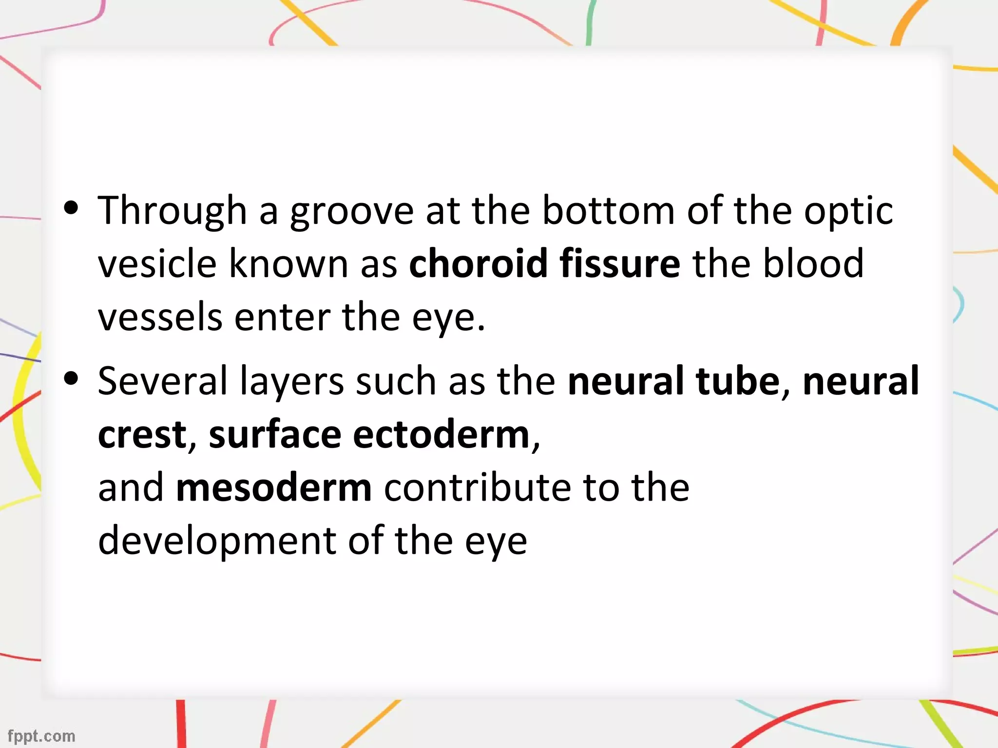 • Through a groove at the bottom of the optic
vesicle known as choroid fissure the blood
vessels enter the eye.
• Several layers such as the neural tube, neural
crest, surface ectoderm,
and mesoderm contribute to the
development of the eye
 