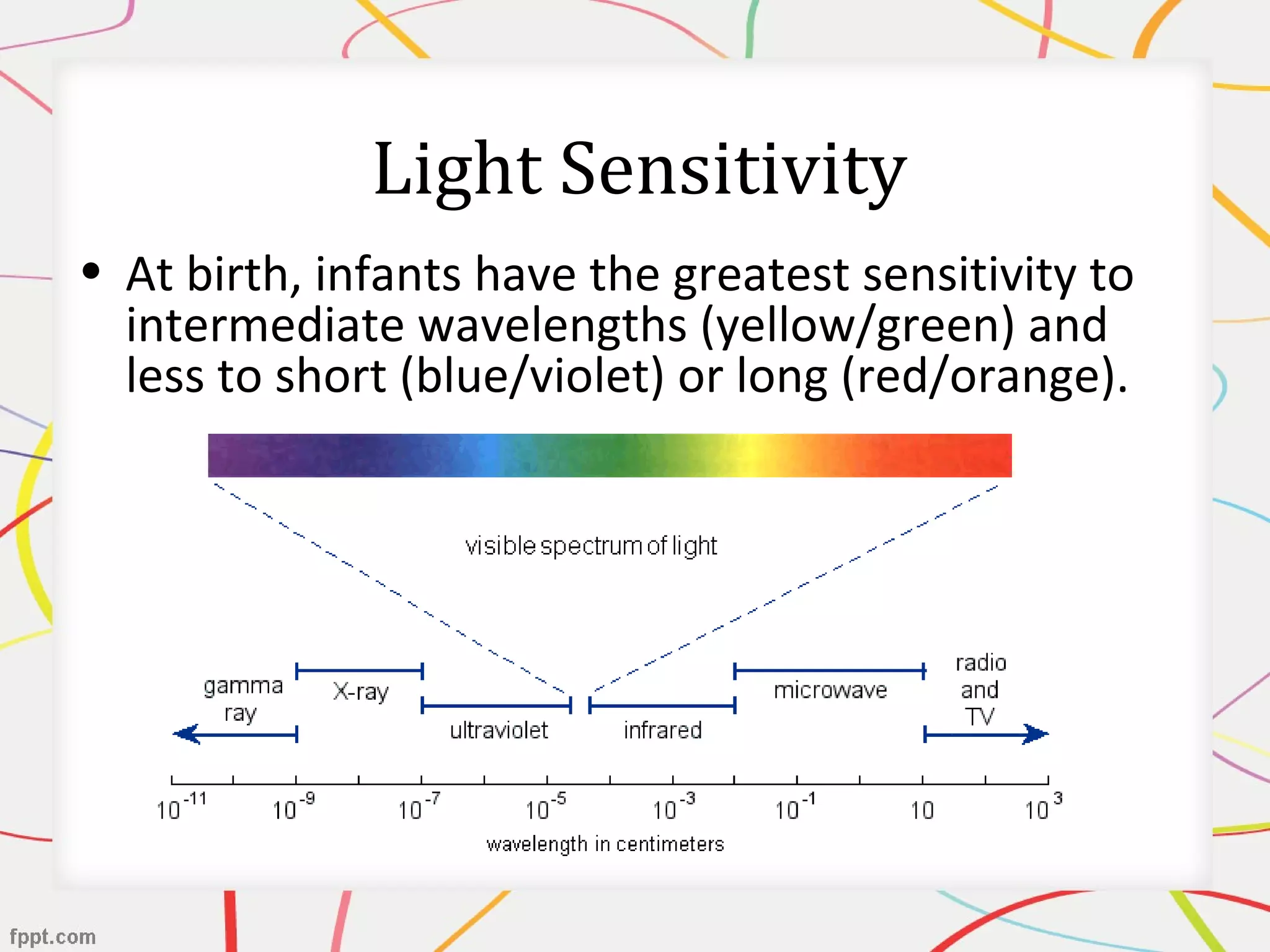 Light Sensitivity
• At birth, infants have the greatest sensitivity to
intermediate wavelengths (yellow/green) and
less to short (blue/violet) or long (red/orange).
 