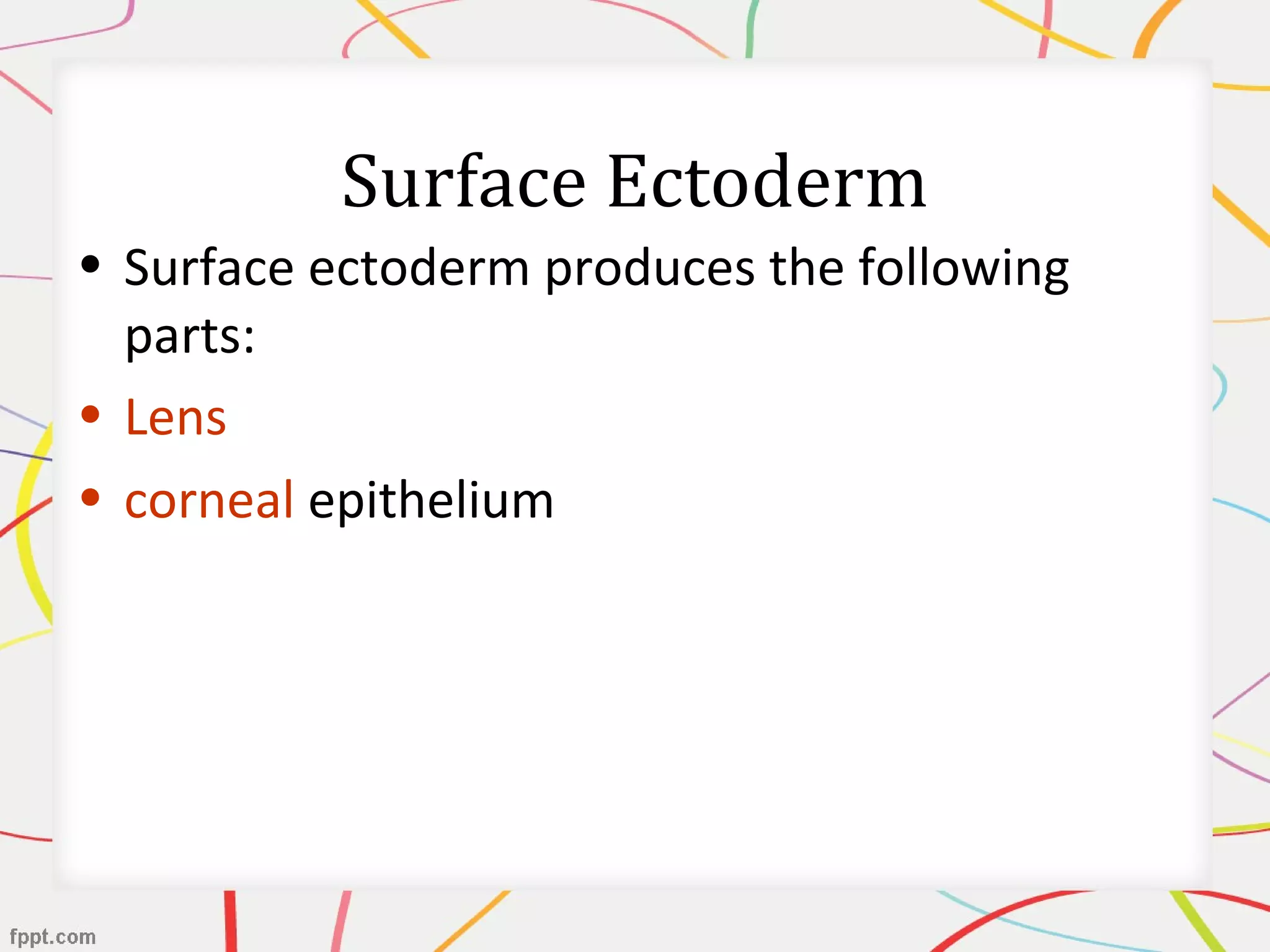 Surface Ectoderm
• Surface ectoderm produces the following
parts:
• Lens
• corneal epithelium
 